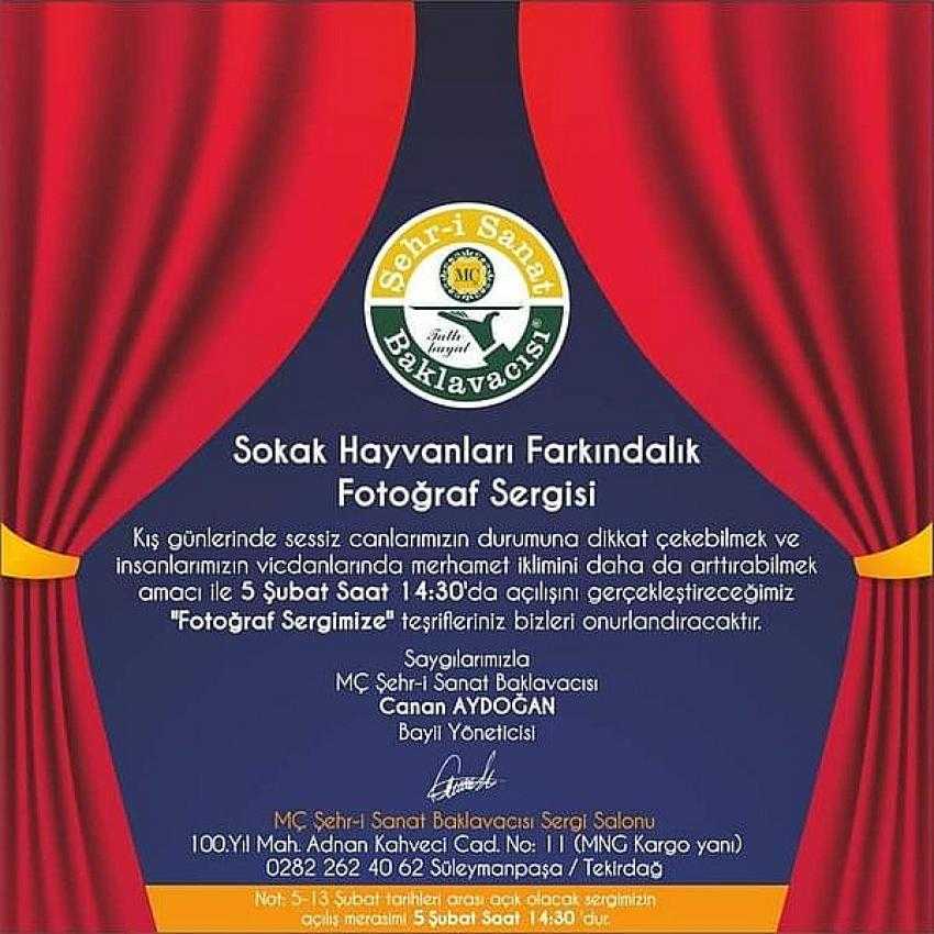 Şehri Sanat Baklava'cısından "Sokak Hayvanları Fotoğraf Sergisi"