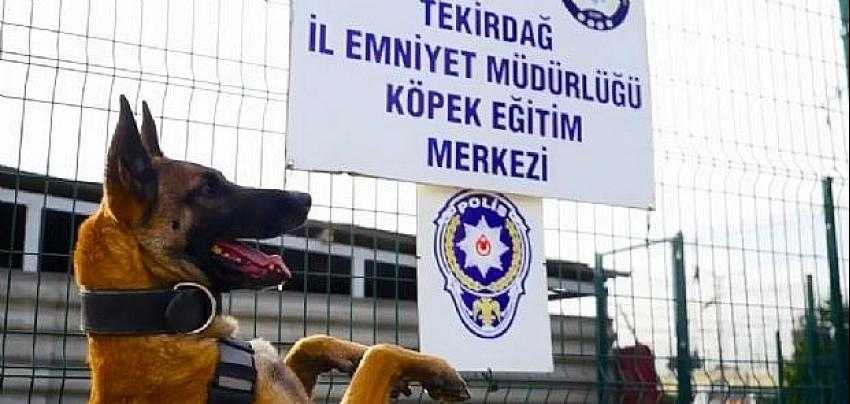 UYUŞTURUCU TACİRLERİNİN KORKULU R&Uuml;YASI LARİSSA&rsquo;YA &Ouml;ZEL KLİP