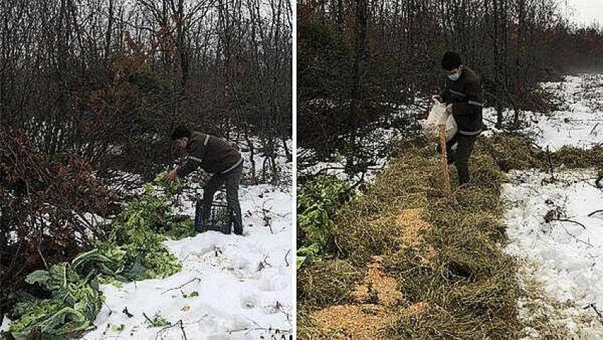 Doğada bulunan yaban hayvanlarına yiyecek bırakıldı