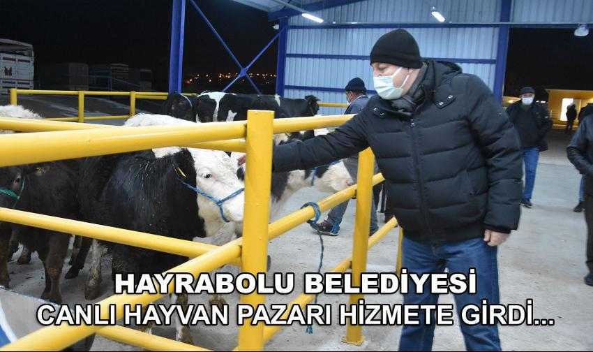 Hayrabolu Canlı Hayvan Pazarı hizmete girdi