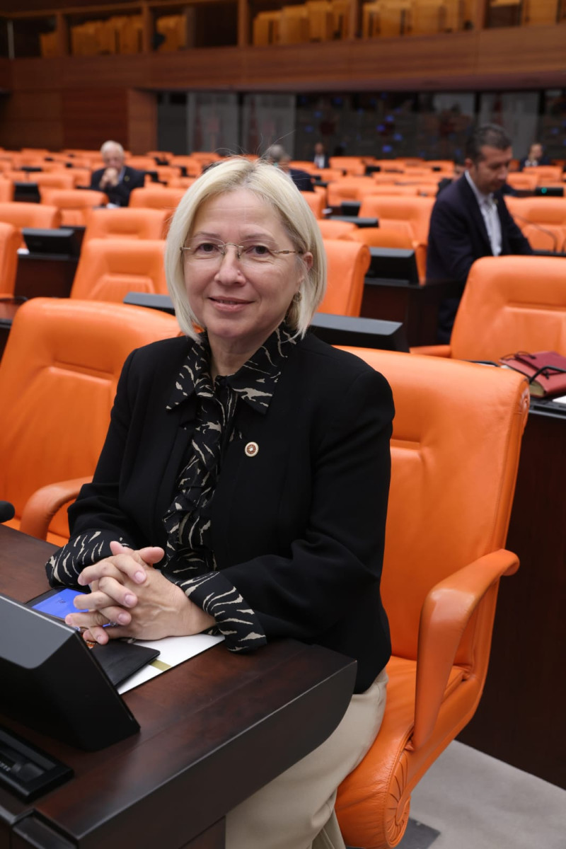 Chp Tekirdağ Milletvekili Nurten Yontar Emekli Maaşlarını Sordu