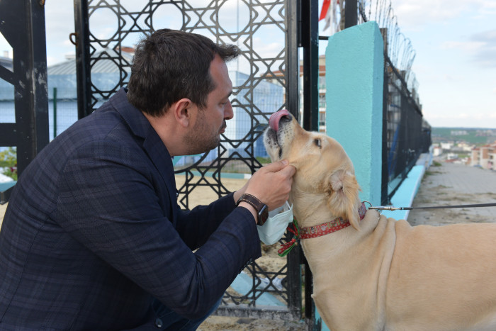 C&uuml;neyt Y&uuml;ksel : "Sokak Hayvanlarımız Bizim sessiz dostlarımızdır"