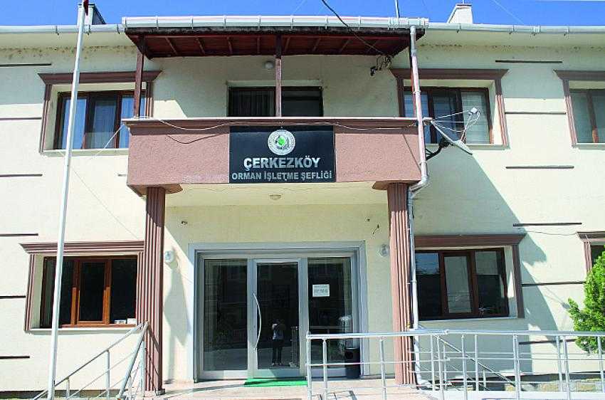 4-5 tane kul&uuml;be &Ccedil;erkezk&ouml;y Orman İşletme Şefliği&rsquo;nin g&ouml;z&uuml;ne batmış!