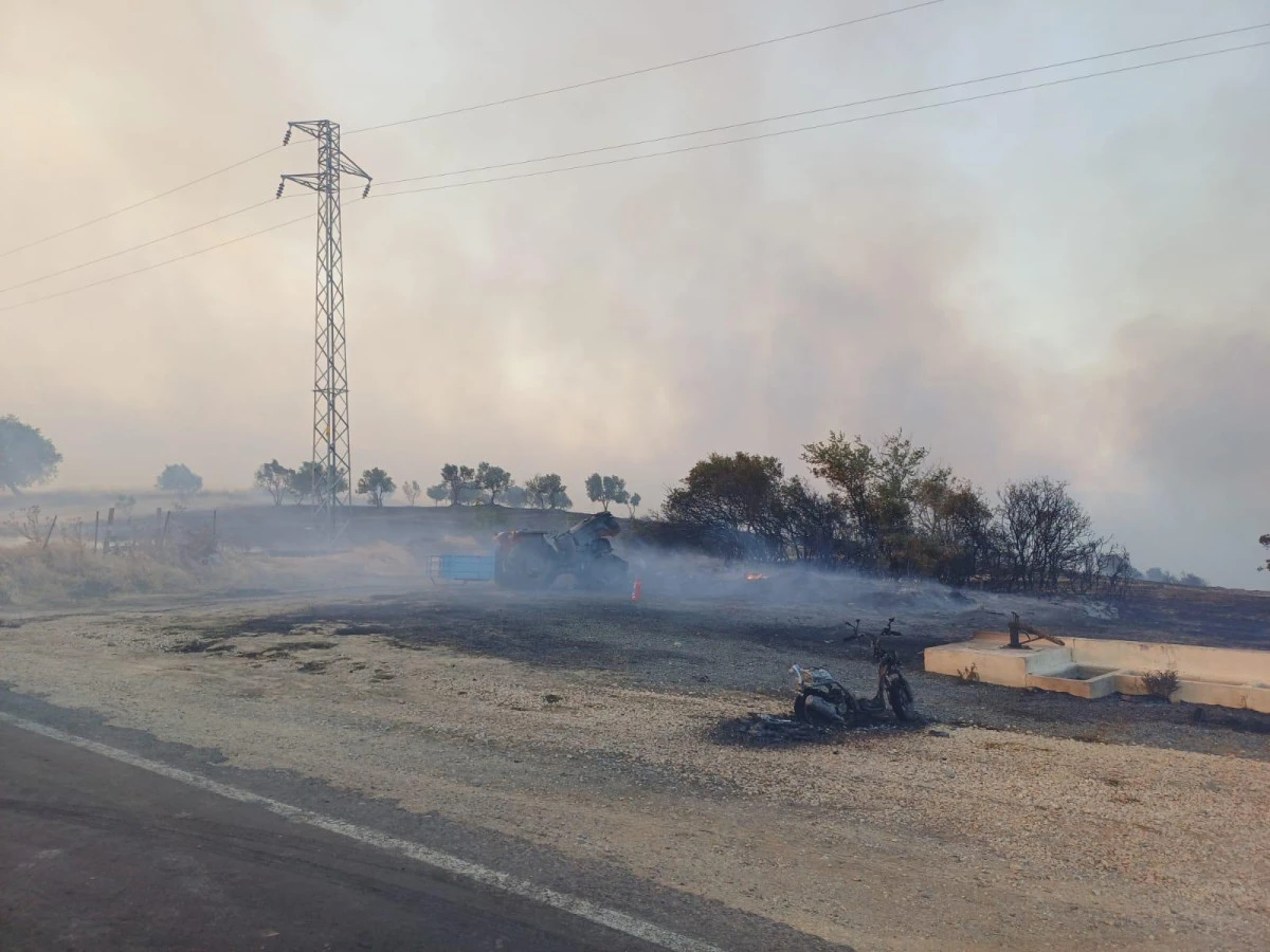  ŞARK&Ouml;Y YANGININDA 7970 HAYVAN TAHLİYE EDİLDİ, 4 YAPI AĞIR HASAR G&Ouml;RD&Uuml;