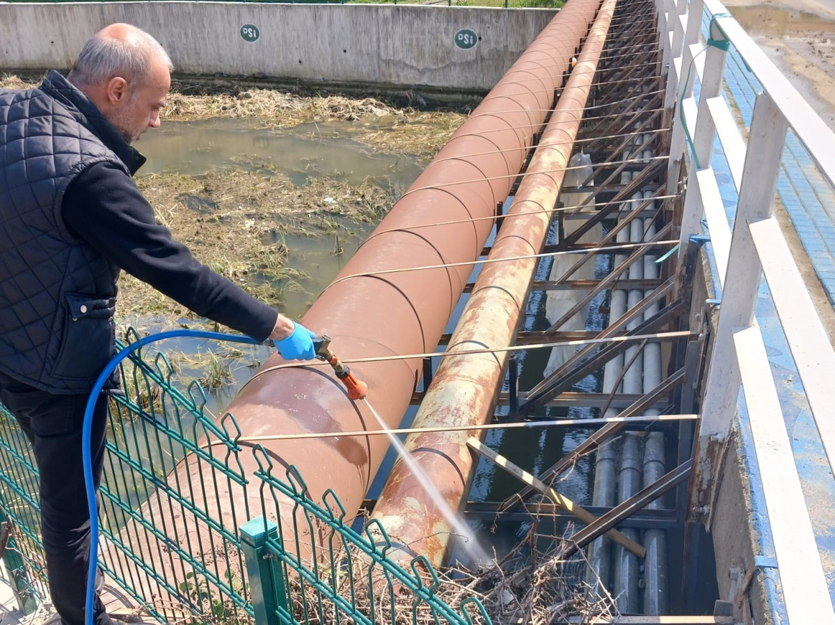 S&uuml;leymanpaşa Belediyesi Sivrisineklerle Erken M&uuml;cadeleye Başladı: &Uuml;&ccedil; Aydır İla&ccedil;lama &Ccedil;alışmaları S&uuml;r&uuml;yor