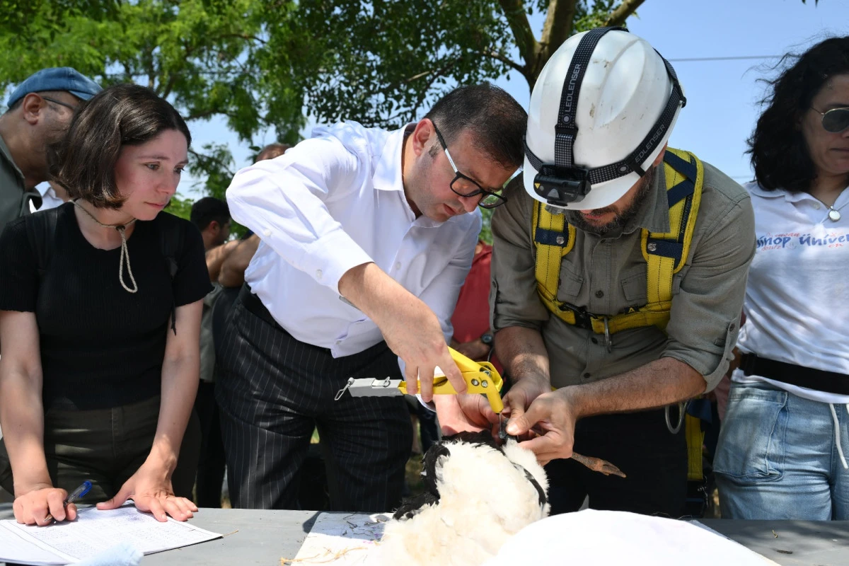 Trakya&rsquo;da, leylekler ve Şah Kartal i&ccedil;in koruma seferberliği başladı