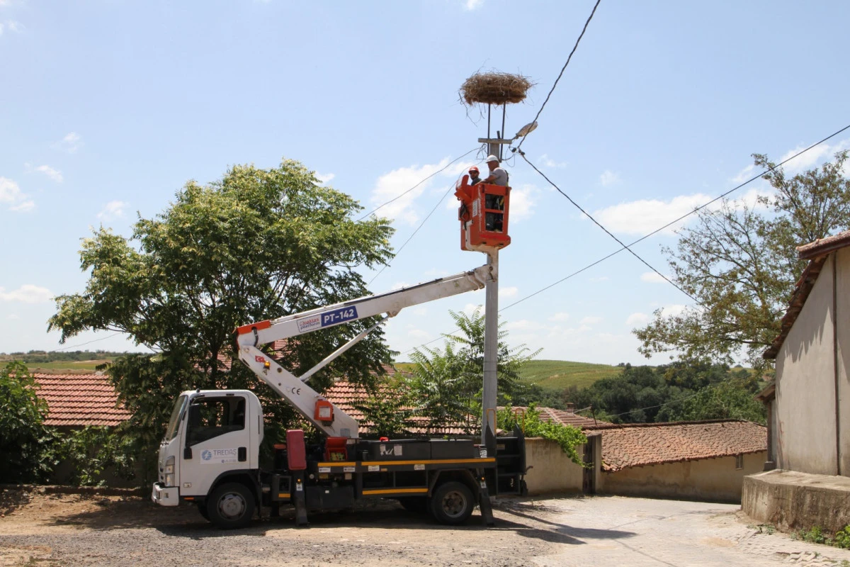 TREDAŞ, Leyleklerin G&uuml;venli D&ouml;n&uuml;ş&uuml; İ&ccedil;in Hazırlıklara Başladı