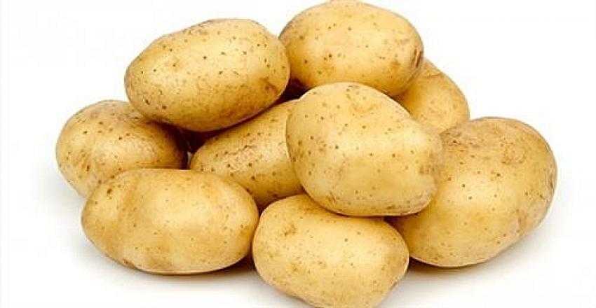 Ergene Belediyesi 25 ton patates dağıtacak