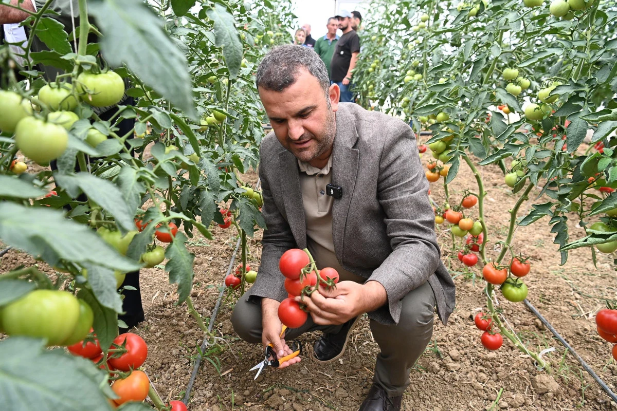 &Uuml;retim, Dayanışma ve İstihdam Bir Arada
